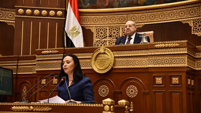 وزيرة التضامن أمام الشيوخ: 5.5 مليون من أبناء أسر تكافل في مراحل التعليم المختلفة