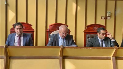 88 ألف طلقة.. المؤبد لمستورد و15 عامًا لنجله وآخرين بتهمة جلب ذخائر من أمريكا