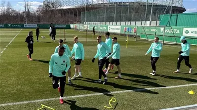 بعد غياب 16 شهرًا.. ألابا يعود إلى معسكر منتخب النمسا