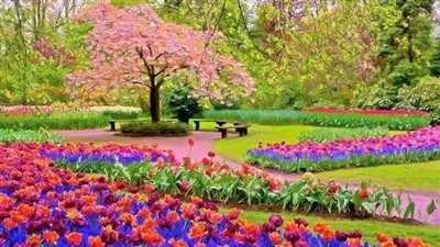 رسميًا.. غدًا بداية فصل الربيع 