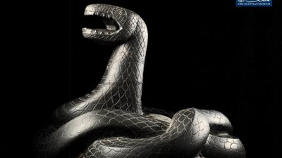 على شكل كوبرا.. المتحف المصري بالتحرير يعرض غطاء صندوق نذور من العصر اليوناني