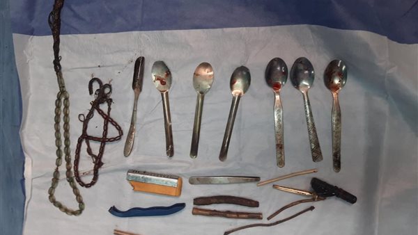 المُبتلَعات