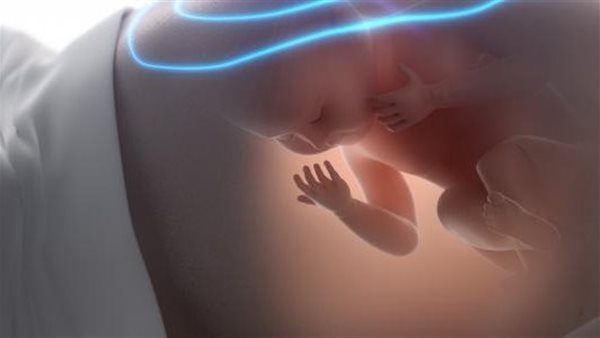 هل زكاة الفطر على