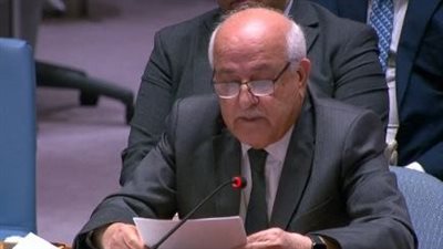 مندوب فلسطين أمام مجلس الأمن: لا بديل عن حل الدولتين.. ويجب محاسبة إسرائيل على خروقاتها