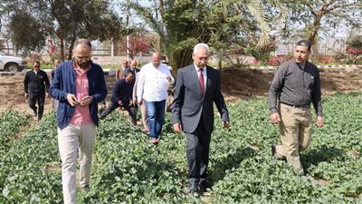 رئيس جامعة المنيا يتفقد المنتجات والمحاصيل الزراعية بمشروع الصوب الزراعية بالجامعة