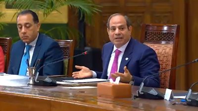 الرئيس السيسي يؤكد اهتمام الدولة برعاية مرضى الزهايمر