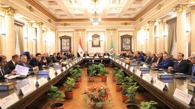 تنفيذا لتوجيهات السيسي.. تشكيل لجنة من أساتذة الجامعات لتقديم خبراتها للمؤسسات المعنية بتطوير الدراما والإعلام