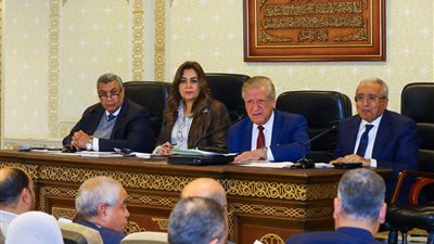 في 16 محافظة.. التنمية المحلية تعلن اعتماد مجلس الوزراء لـ الأحوزة العمرانية للمدن والقرى