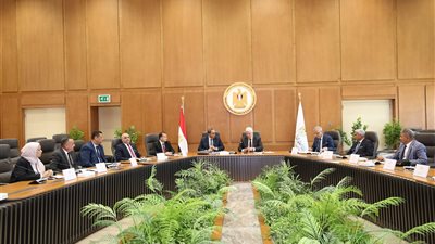 اختيار محمد عزوز رئيسًا لمجلس أمناء جامعة جنوب الوادي الأهلية.. ومحمود خضاري نائبًا