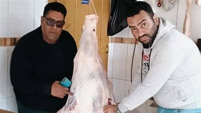 ضبط ربع طن لحوم وفسيخ في حملة لبيطري كفر الشيخ| صور 