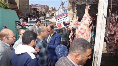 ضبط مخالفات تموينية وإعدام فسيخ فاسد خلال حملة مكبرة ببني سويف