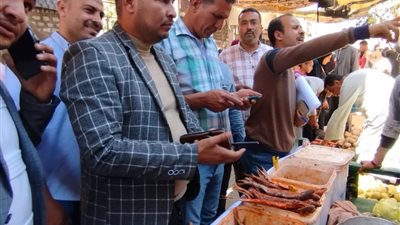 قبل العيد.. تحرير 20 مخالفة متنوعة خلال حملة مكبرة في قنا