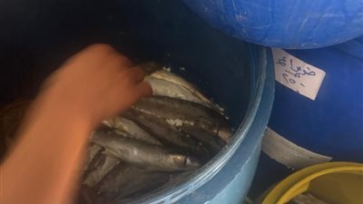 تسمم سيدة وابنتها بسب وجبة فسيخ بالدقهلية 