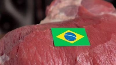 عضو بدار الإفتاء الليبية: اكتشافنا ثغرات في متطلبات الذبح الحلال ببعض مذابح البرازيل 