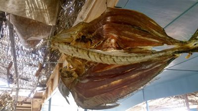 السمك الناشف أشهر أكلات عيد الفطر بالبحر الأحمر.. رواج فى حركة البيع