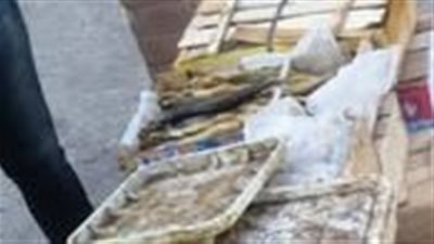 ضبط نصف طن سردين ولحوم فاسدة بكفر الشيخ في حملات مكثفة استعدادًا لعيد الفطر