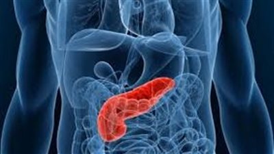 3 أطعمة شائعة تزيد خطر الإصابة بسرطان البنكرياس.. تعرف عليها 