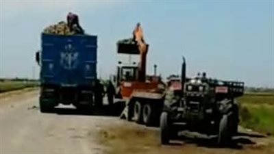 جهود لحل مشكلة نقل محصول البنجر بسهل الطينة في بورسعيد