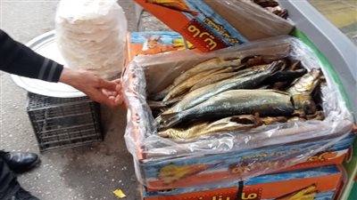 ضبط 6.5 طن رنجة وفسيخ فاسدة بالجيزة | صور 