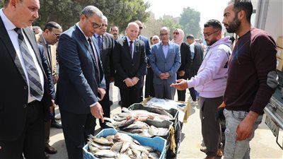 محافظ القاهرة: حملات مكثفة لضبط الأسعار والتأكد من صلاحية الأسماك الطازجة والمملحة والمدخنة