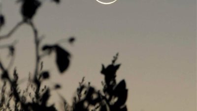 شاهد الآن.. هلال العيد يزين سماء الوطن العربي