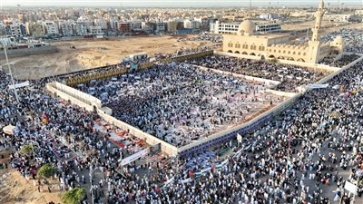الآلاف في المنوفية يدعمون الفلسطينيين ويؤكدون رفضهم للتهجير| صور 