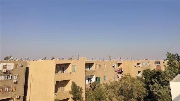 محافظة الوادى الجديد