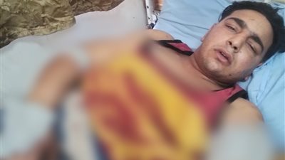 بعد هجوم النمر على مساعد المدرب.. جهات التحقيق: تشكيل لجنة لفحص جميع الحيوانات بسيرك طنطا