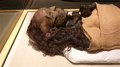 في الذكرى الرابعة لموكب نقل المومياوات الملكية.. 13 مادة موضوعة على زيت شعر الملكة تي 