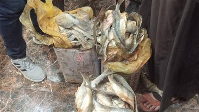 ضبط 500 صاروخ ناري وفسيخ فاسد خلال أيام عيد الفطر في االمنيا