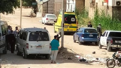 تأكله الكلاب الضالة.. العثور على جثة رضيع عمره ساعات ملقى في القمامة بالسويس