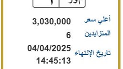 م ور 1.. لوحة مرور مميزة في مصر تتخطى حاجز الـ 3 ملايين جنيه