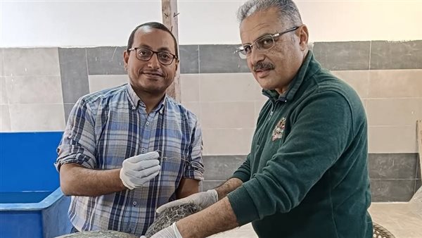 مركز إنقاذ السلاحف