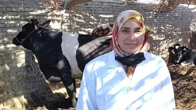 لمدة شهر.. انطلاق حملة التحصين ضد مرضي الحمى القلاعية وحمى الوادى المتصدع بجنوب سيناء