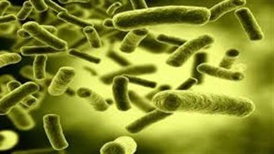 عدوى قاتلة.. تحذيرات من زيادة انتشار البكتيريا المطثية في المستشفيات 