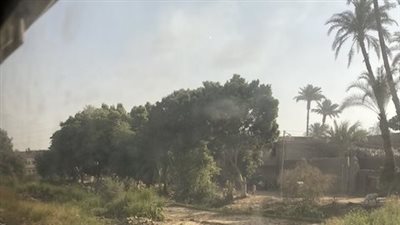 غموض يكتنف العثور على جثة كهربائي ملقاة في الزرع على طريق المنشاة بالأقصر