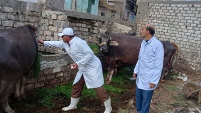 محافظ الجيزة: انطلاق الحملة القومية للتحصين ضد أمراض الحمى القلاعية