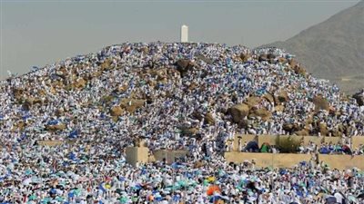 شركات السياحة: بدء تكثيف رحلات نقل الحجاج.. ولجان البعثة تنتشر في تجمعاتهم بمكة والمدينة