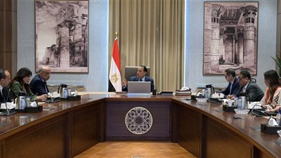 الحكومة تبحث الموقف التنفيذي للطروحات في قطاع الطاقة