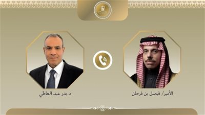 وزير الخارجية يبحث مع نظيره السعودي تطورات أوضاع غزة