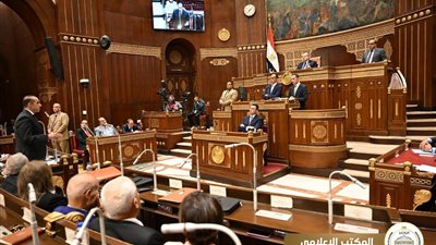 مجلس الشيوخ يواصل مناقشة تطوير النظام الجمركي