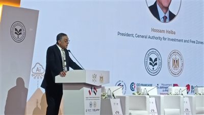 هيئة الاستثمار: الشركات الفرنسية يمكنها الاستفادة من اتفاقات التجارة الحرة لمصر