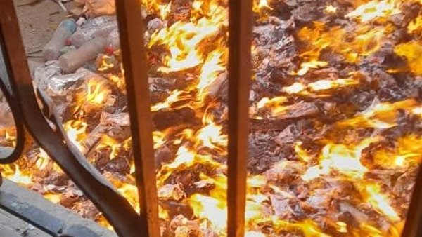 حريق بتربية نوعية