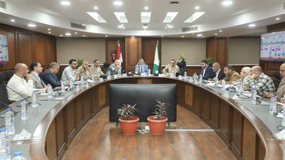 محافظ الجيزة: تشغيل تجريبي لعدد من مشروعات البنية التحتية المنتهية بقرى الصف خلال الشهر الجاري