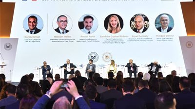 عقد جلسة رؤية مصر 2030 بقطاع الرعاية الصحية بمنتدى الأعمال المصري الفرنسي