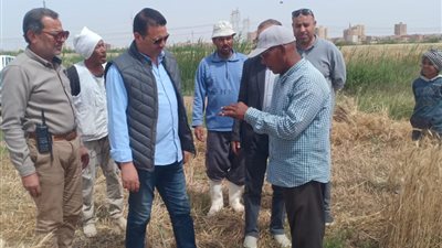 رئيس مدينة طامية بالفيوم يفتتح موسم حصاد القمح بأرض المجلس | صور 