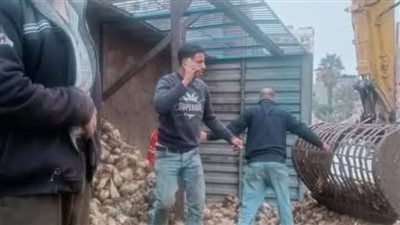 انقلاب جرار زراعي بمقطورتين إحداهما محملة ببنجر السكر بالدقهلية 