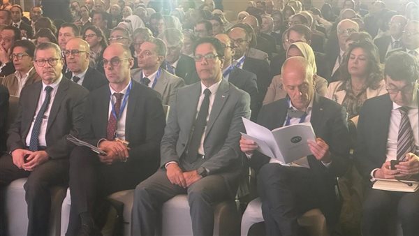 المؤتمر الفرنسي المصري