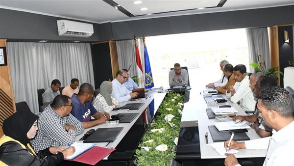 محافظ أسوان