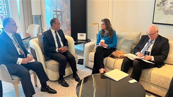 وزير الخارجية يلتقي